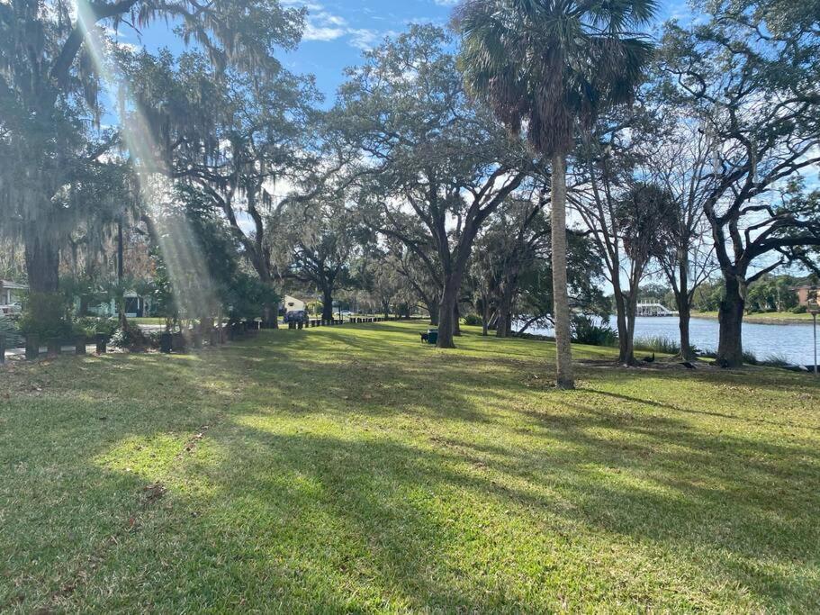 Chic Pad In Center Of Seminole Heights-322